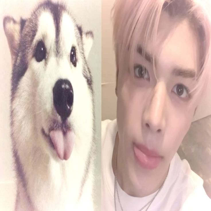 rikigoesbrr's tweet photo. nie wiedzialem w jaki vibe isc wiec macie z kazdego po trochu, zrobimy taki trope jaki chcesz 🥀💪🐶 #howitsgoing #datemaki https://t.co/ovDYbHYMLE