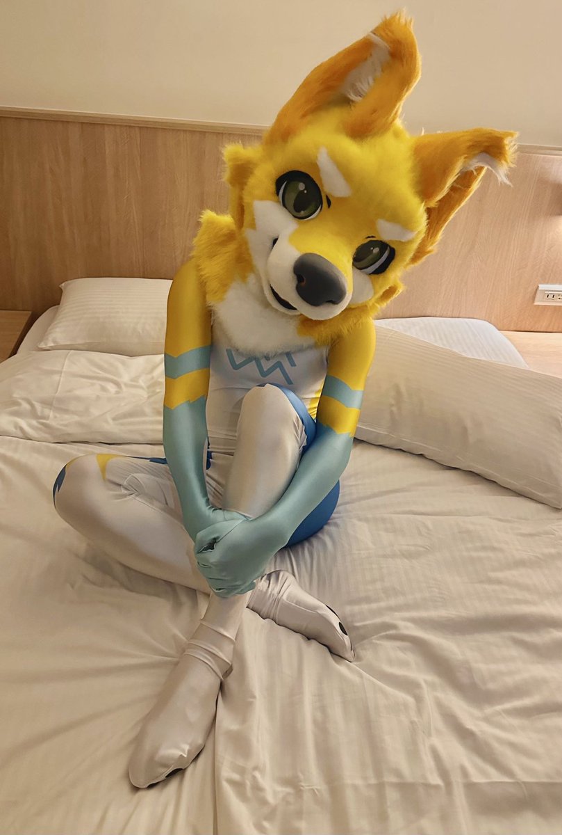 Come and sleep together uwu ! 

📷：<a href="/zg_vfollow/">祖爾ヅル</a>
#FursuitFridays
