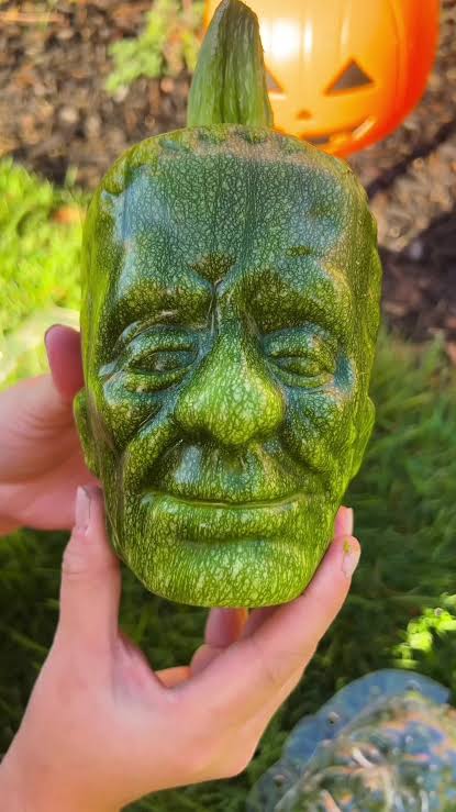 P𐌹adica tweet media