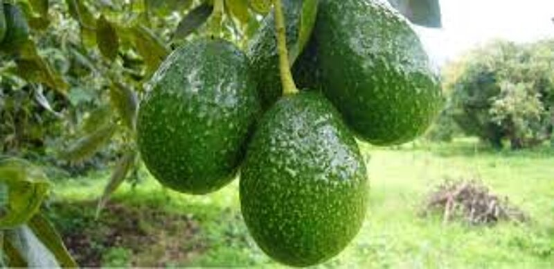 UZIKO BIKAZE 😳🎵✨🫶🏾 tweet media