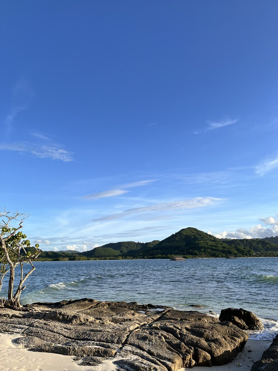 N O R T H tweet media