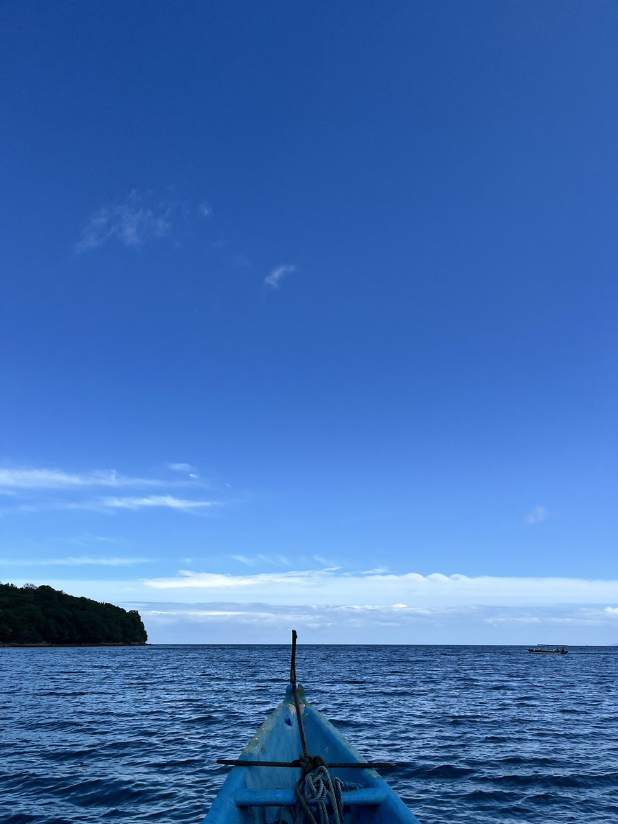 N O R T H tweet media