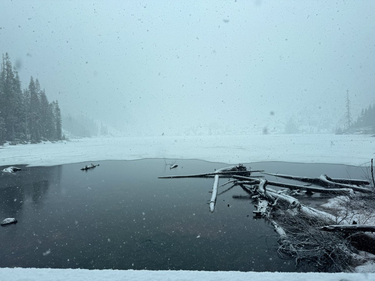 ˗ˏˋ basil ˎˊ˗ | vtuber 🍓🪽 tweet media