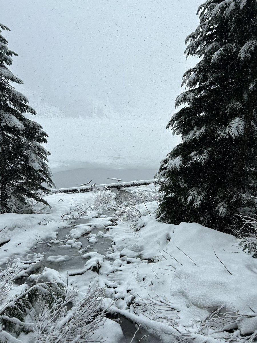 ˗ˏˋ basil ˎˊ˗ | vtuber 🍓🪽 tweet media