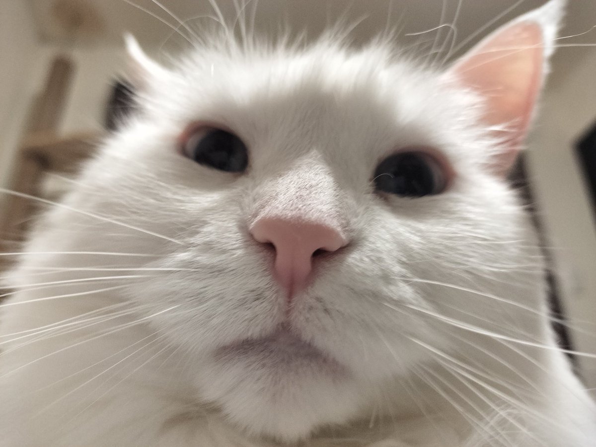 公務員 tweet media