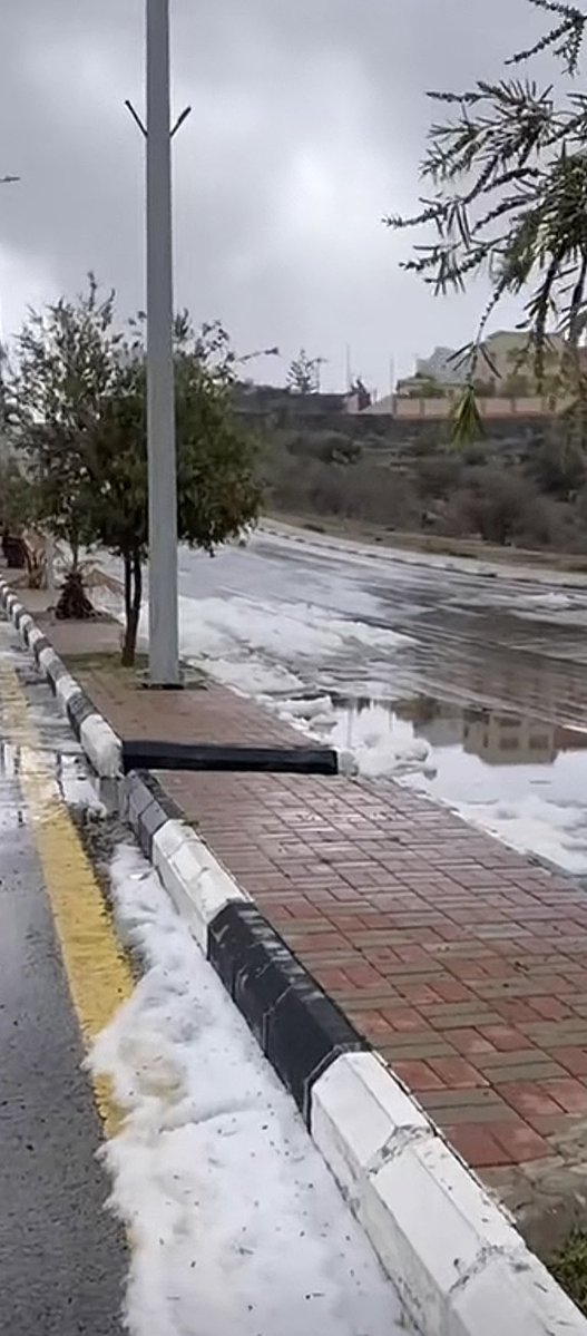 ‏ ‏ ‏حـُـــــوريـــــــہ💕 tweet media