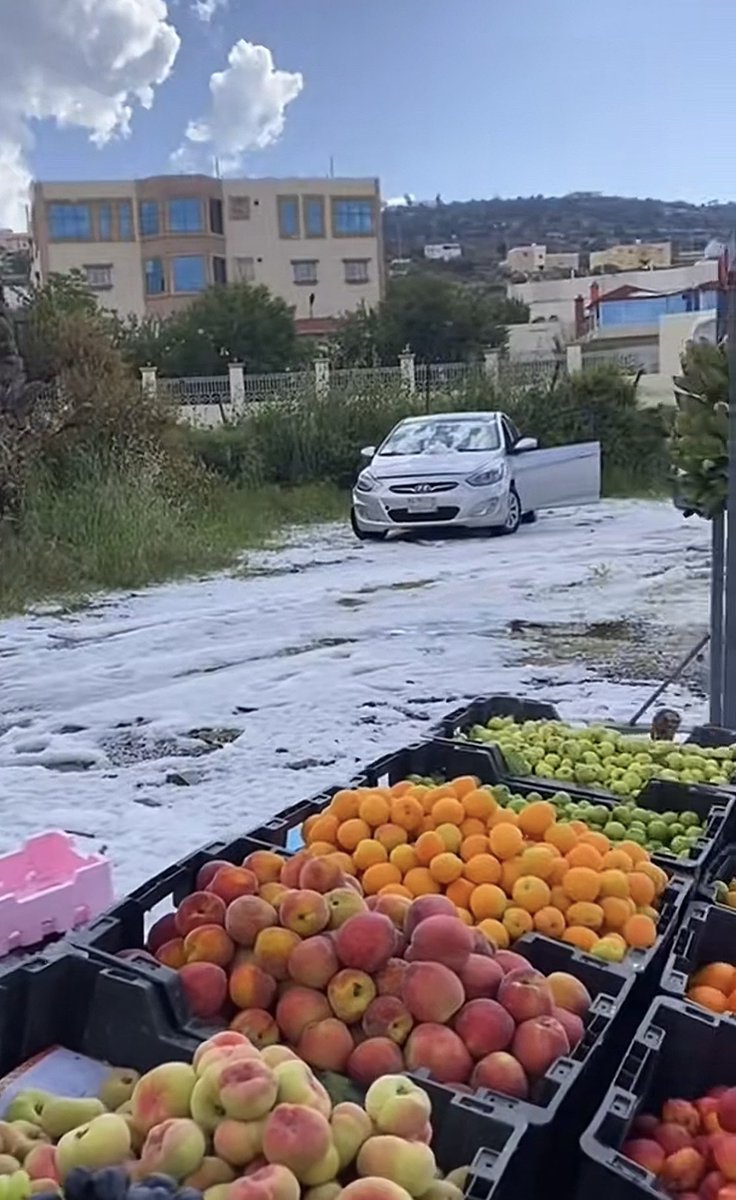 ‏ ‏ ‏حـُـــــوريـــــــہ💕 tweet media