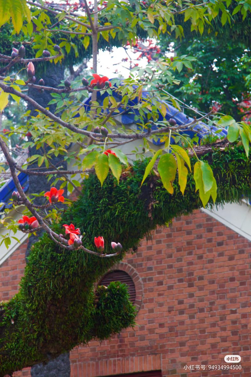 Michael Stewart tweet media