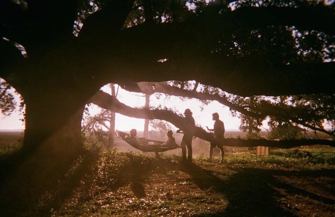 sofi 𝜗𝜚 tweet media