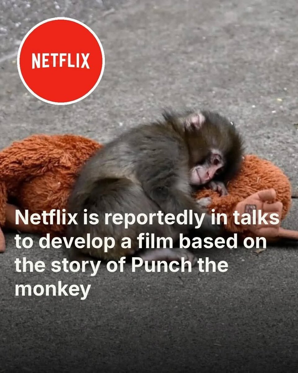 Human Owned by Cat 😺 tweet media