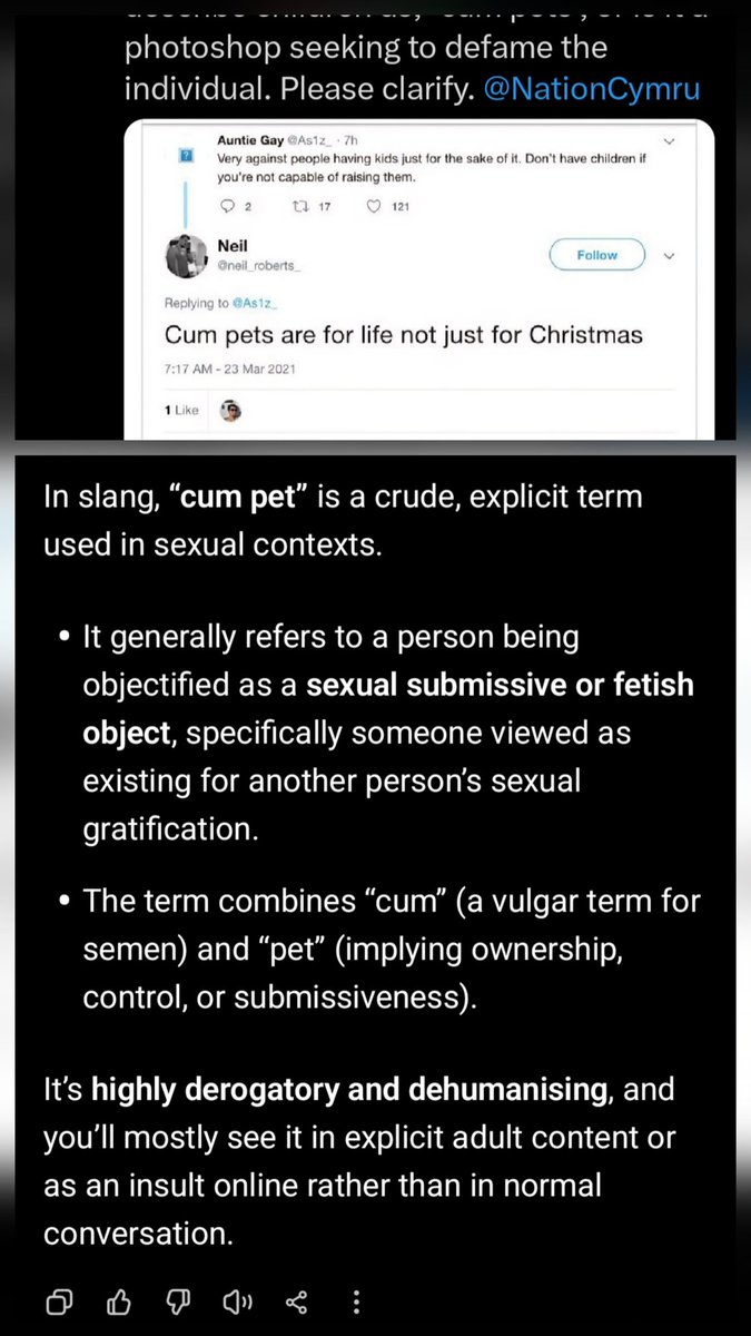 Neil McEvoy 🟥⬜🟩 tweet media