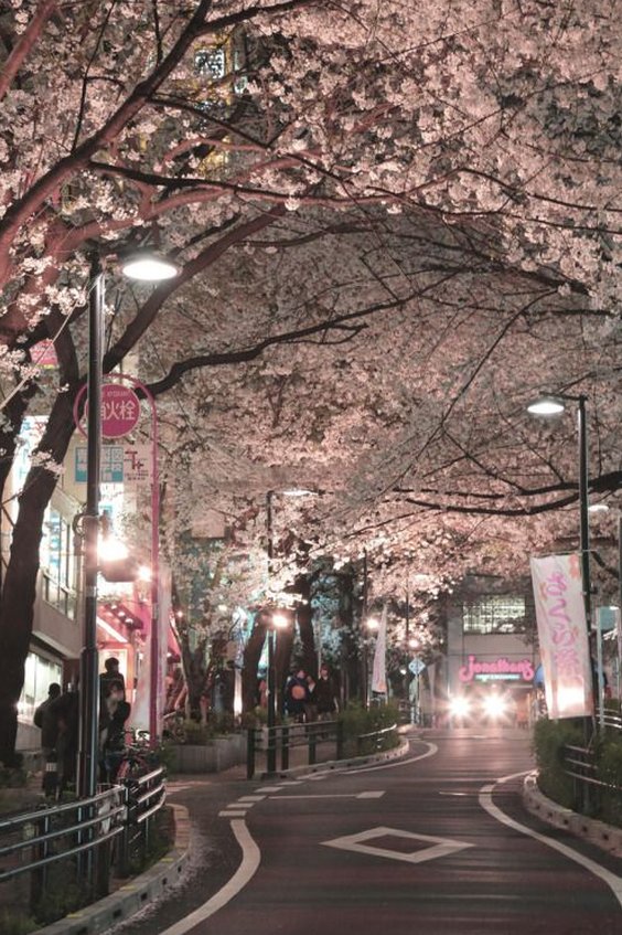 山田 陽春 tweet media