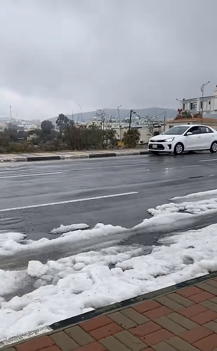 ‏ ‏ ‏حـُـــــوريـــــــہ💕 tweet media