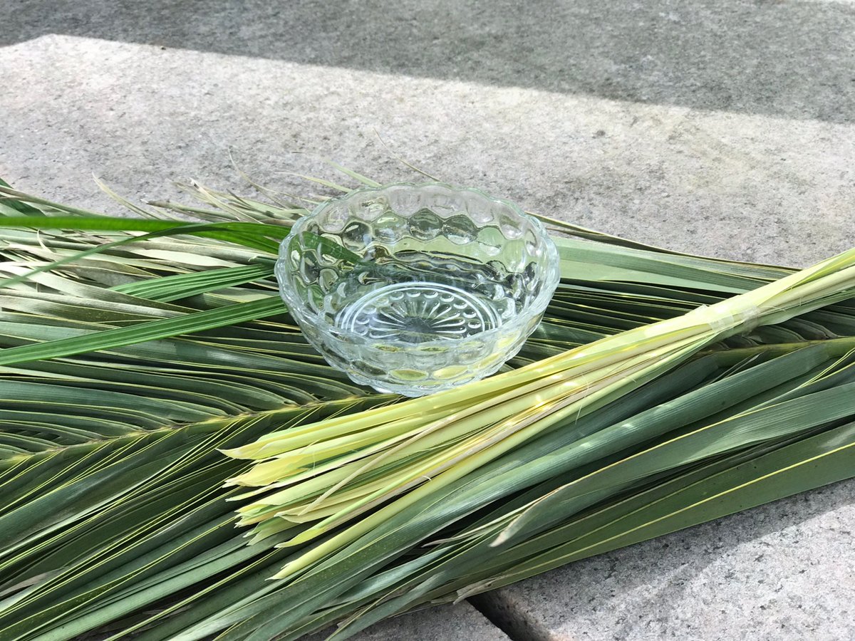HolySpiritHou's tweet photo. Welcome Bishop Monterroso to Holy Spirit on Palm Sunday - Mar 26th Spirit Shot! 2026 - https://t.co/jmniZnp9mk https://t.co/XymKt3nmf6