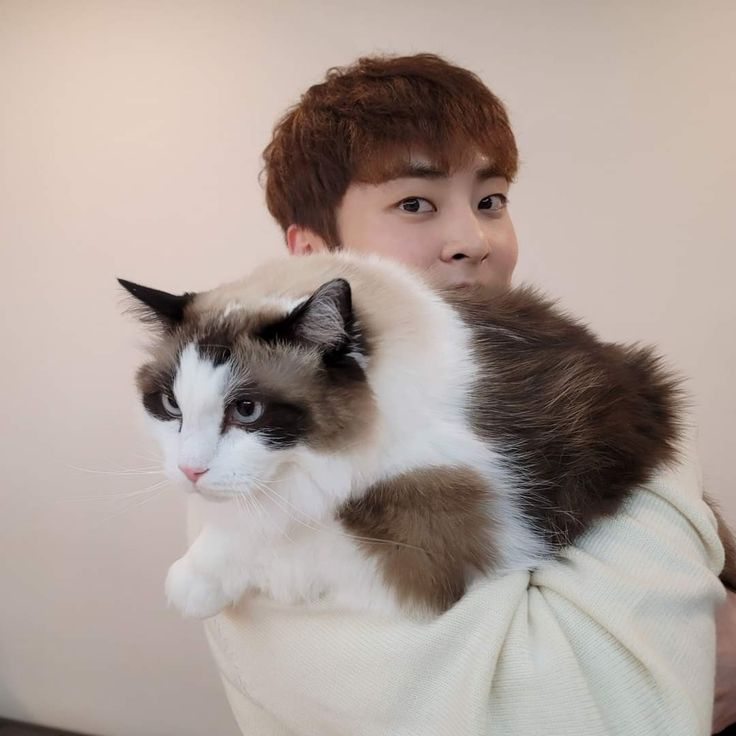 mira 🌱 | instituição rostinho do xiumin tweet media