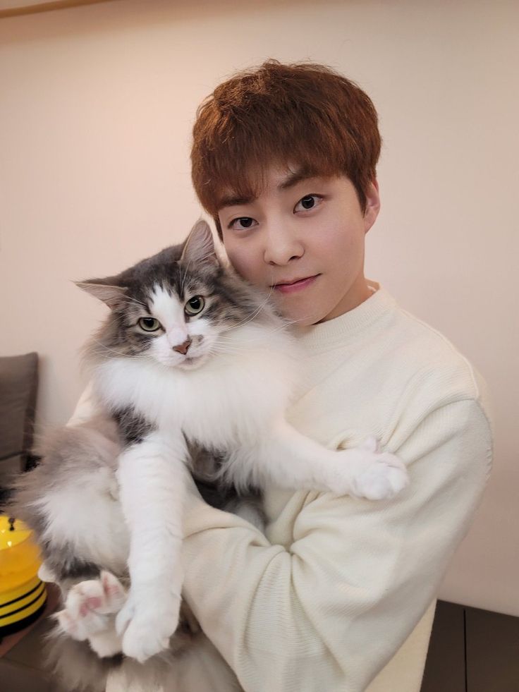 mira 🌱 | instituição rostinho do xiumin tweet media