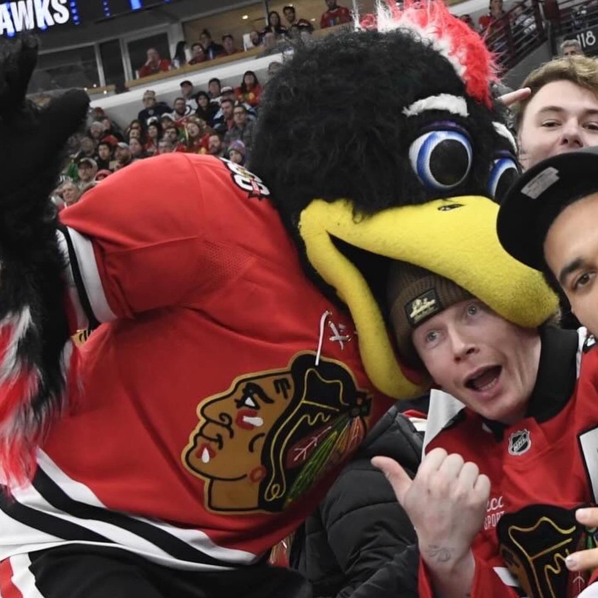 Tommy Hawk tweet media
