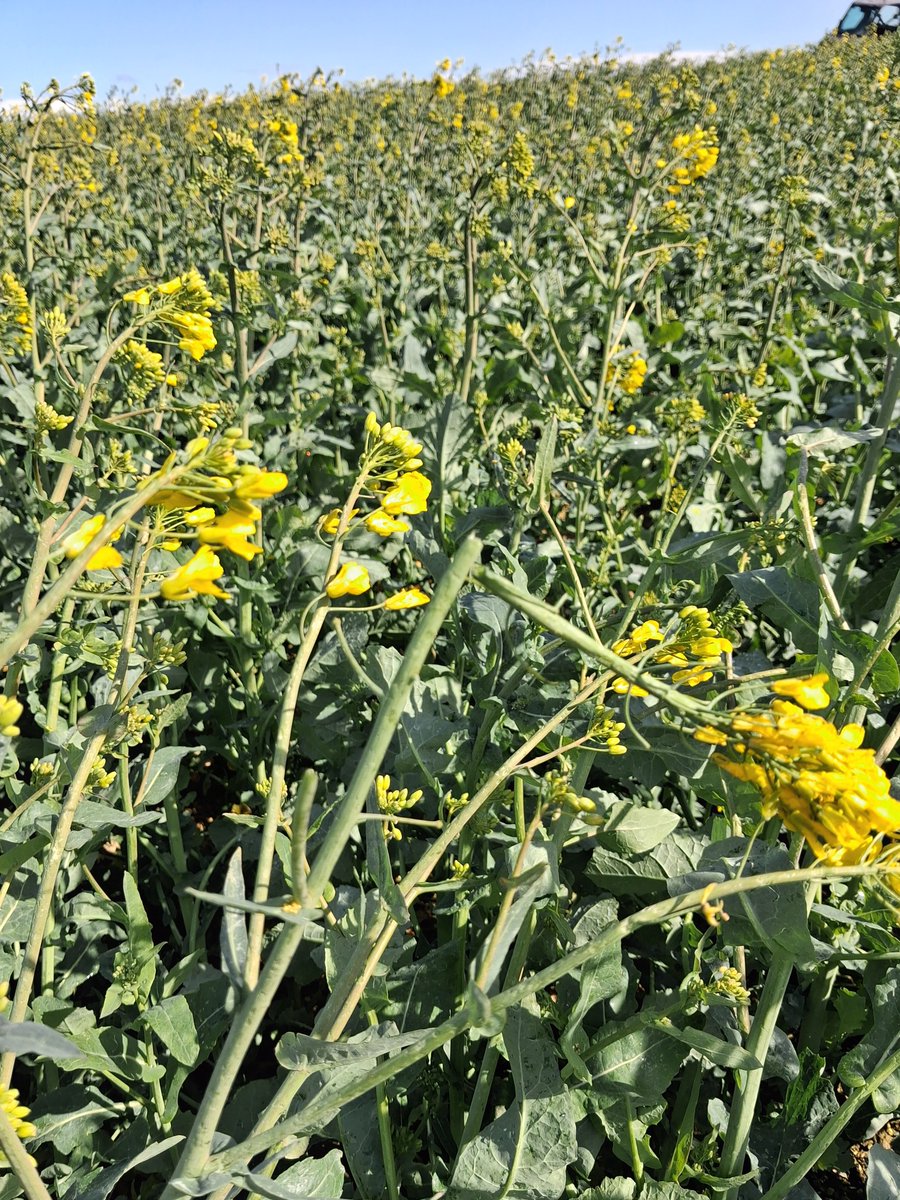 GUYOT Vincent tweet media