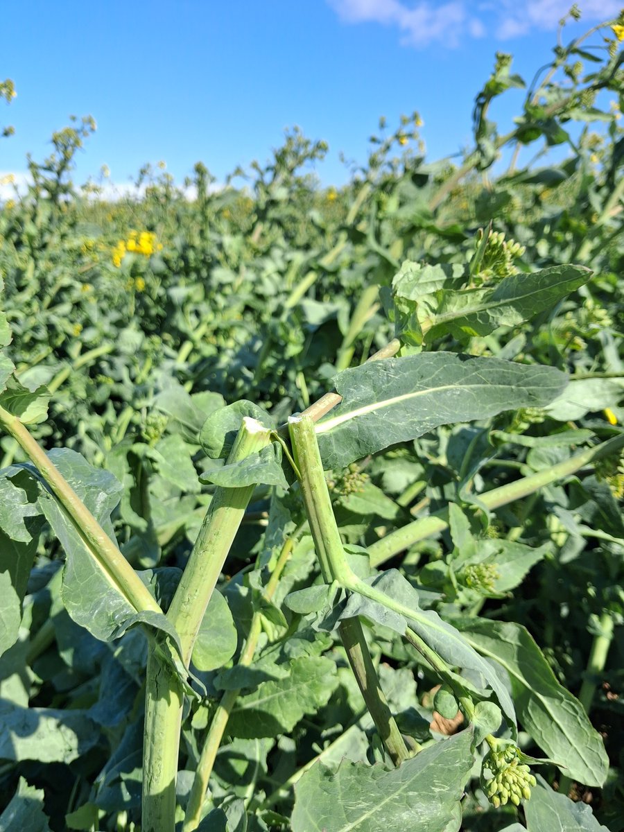 GUYOT Vincent tweet media