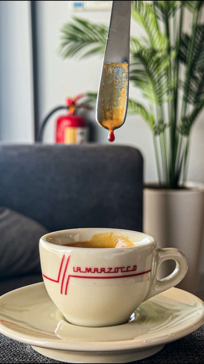 عمر آل سعد tweet media