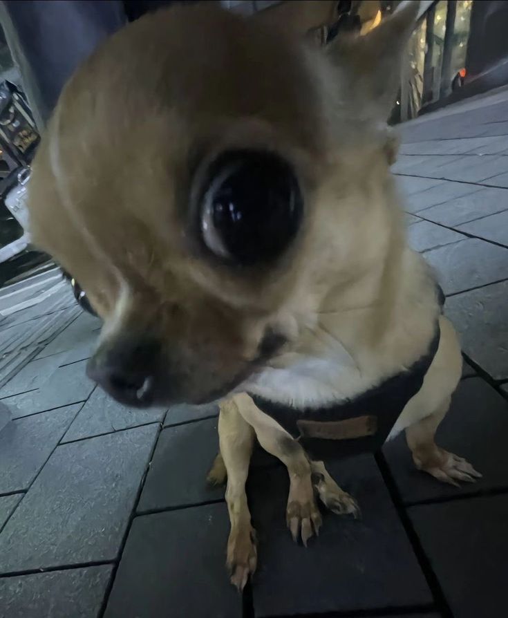 เซฎหฬตึ หฬต แ tweet media