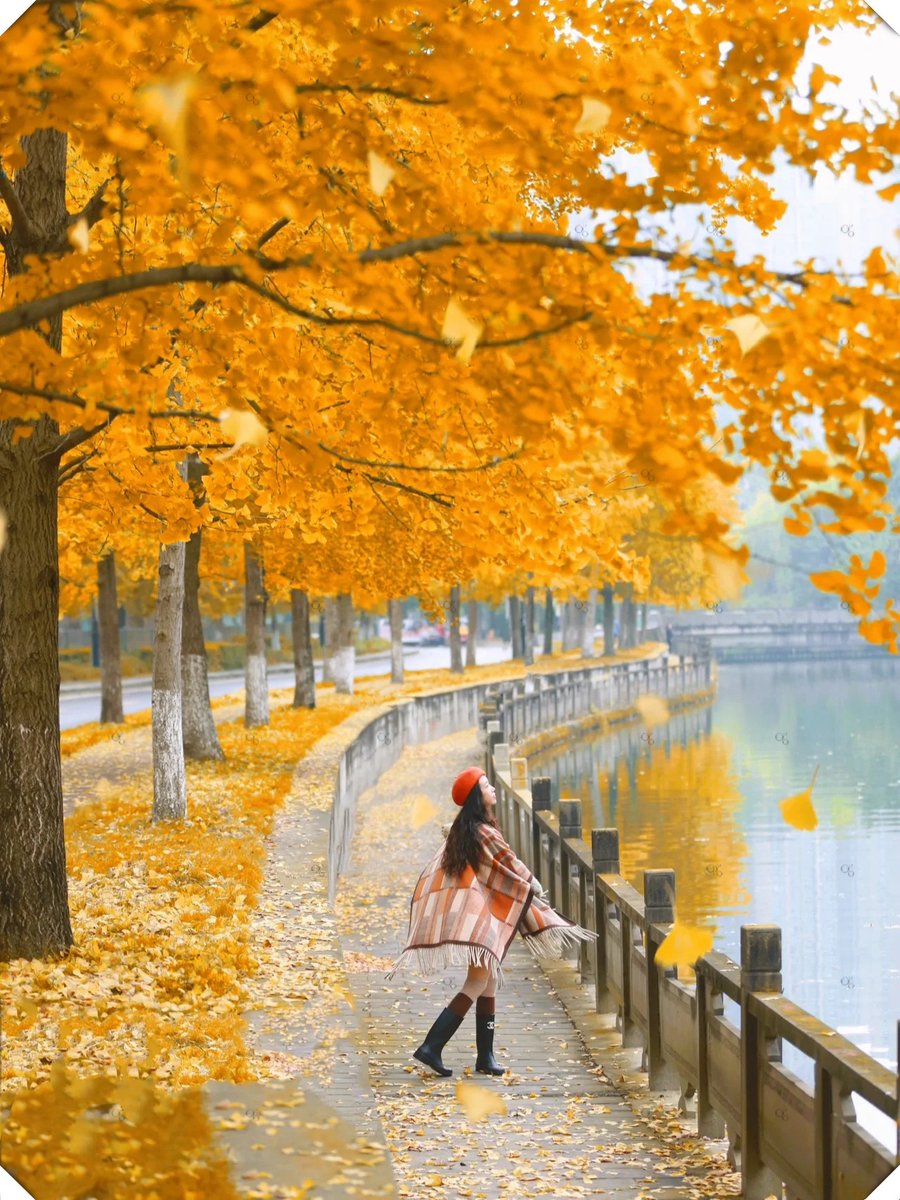 Nichawee Thongbai tweet media