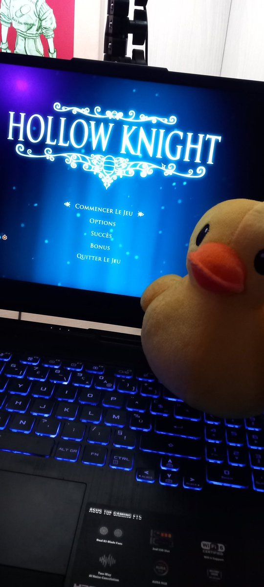 OK ce soir 20h30 live sur hollow knight pour faire QUE des boss 
Au programme: pleurs, trauma et tryhard