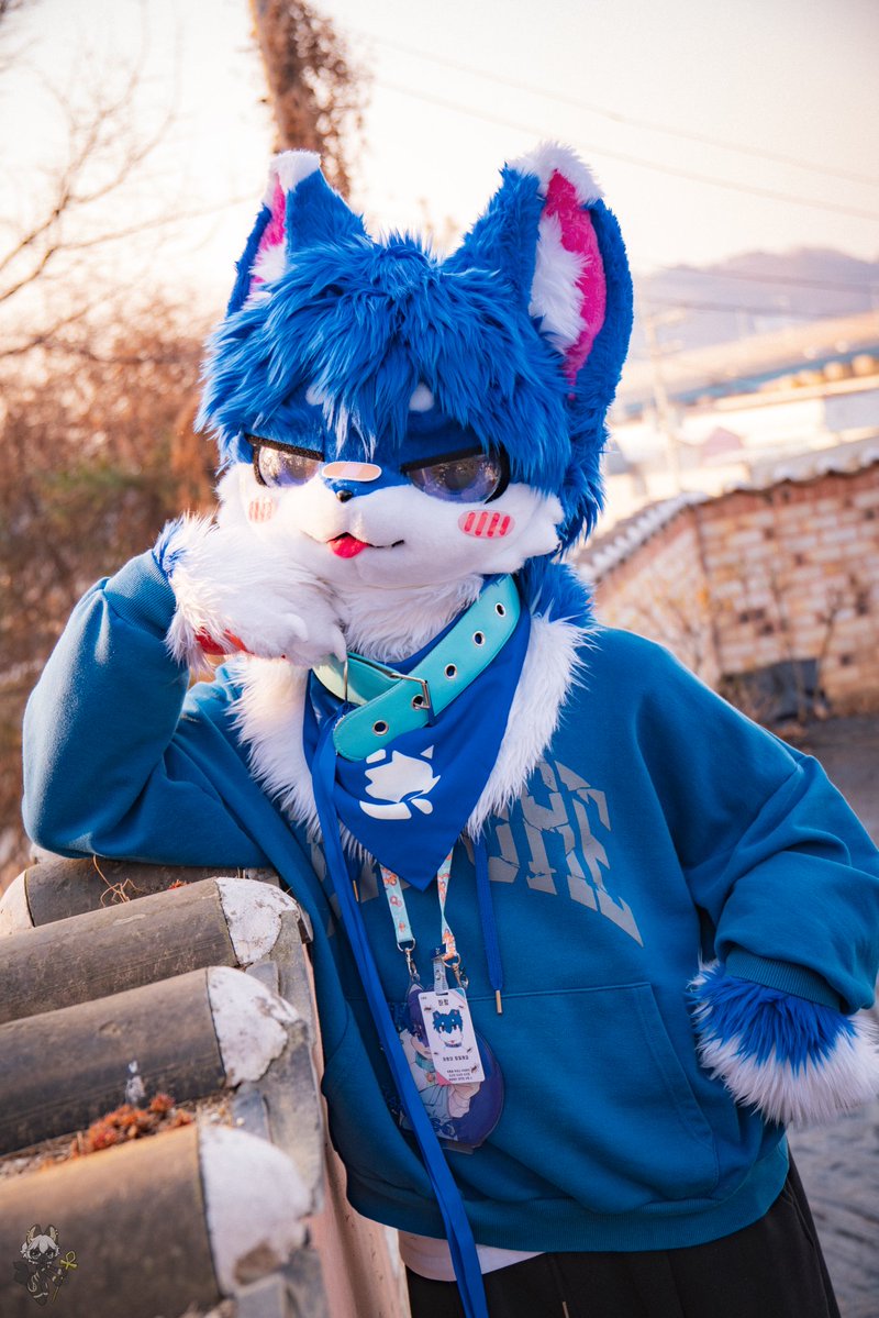 하랑🐾 tweet media