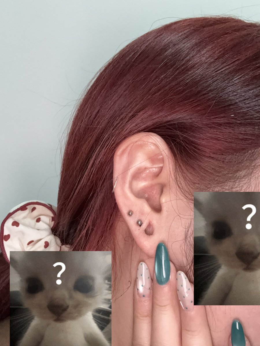 我只是个懒比 tweet media