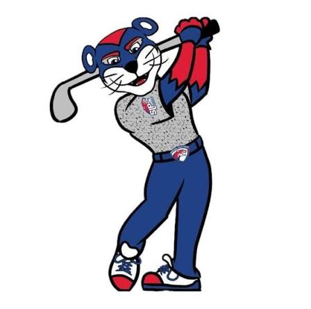 VerticalRaiseMN tweet media