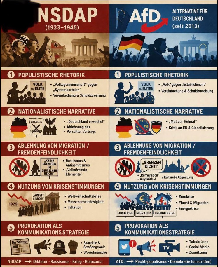 Steffen B 🌻💚 tweet media