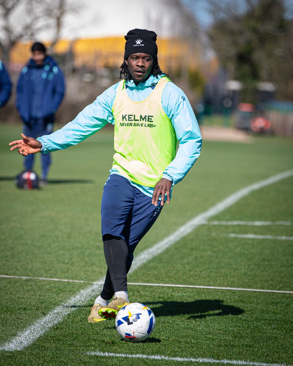 Watford Football Club tweet media