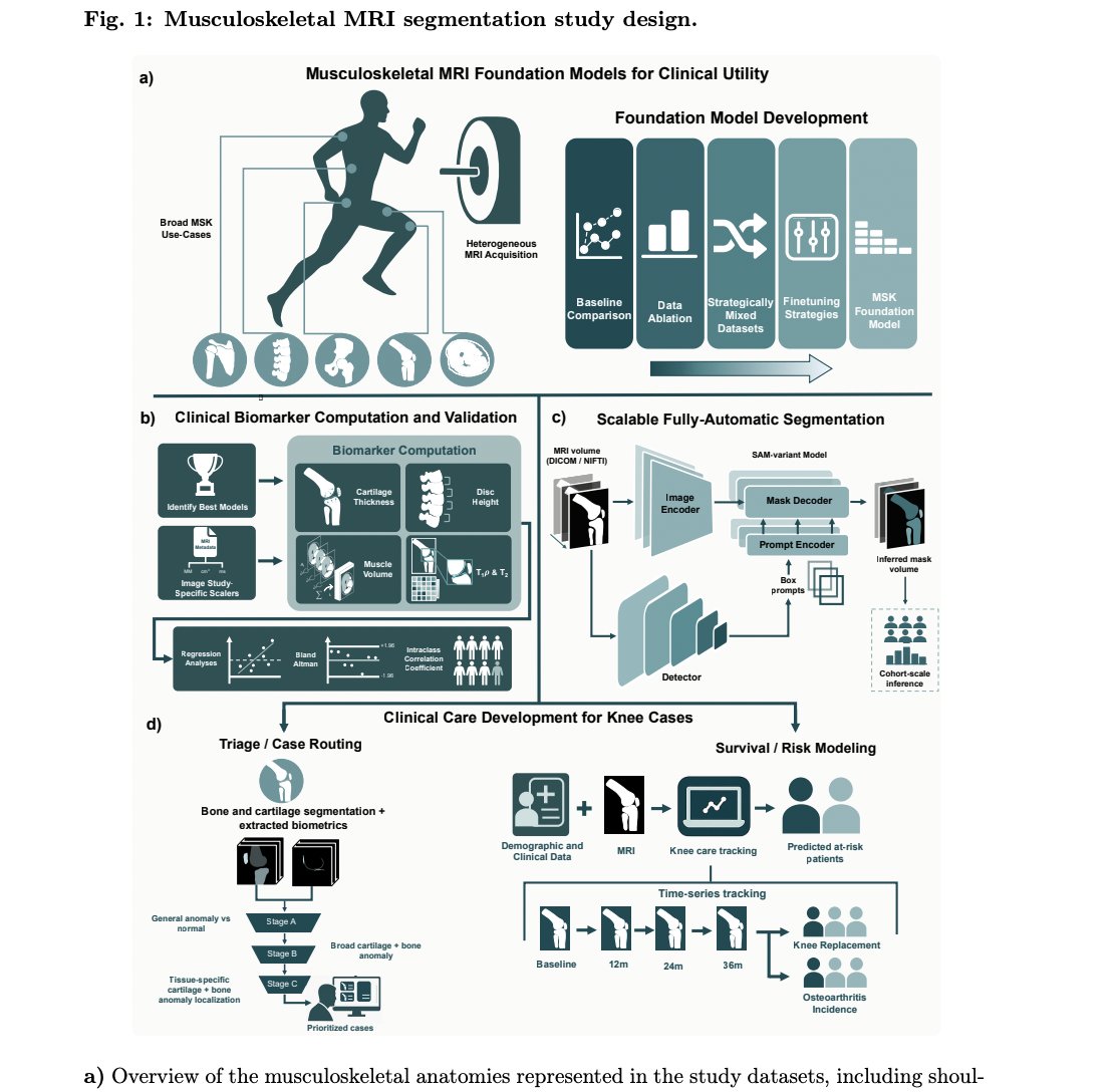 npj Digital Medicine tweet media