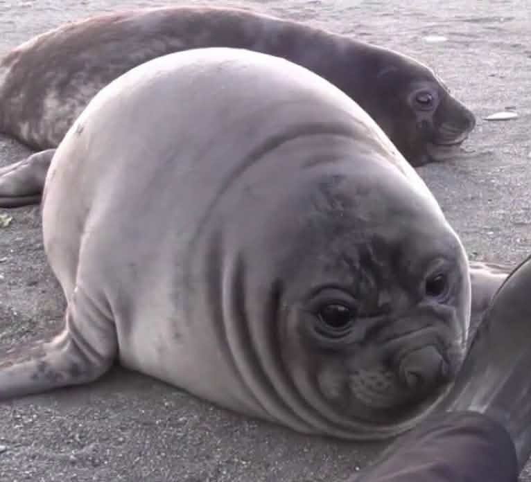 ⛧𝐒𝐎𝐀𝐑𝐀⛧ tweet media