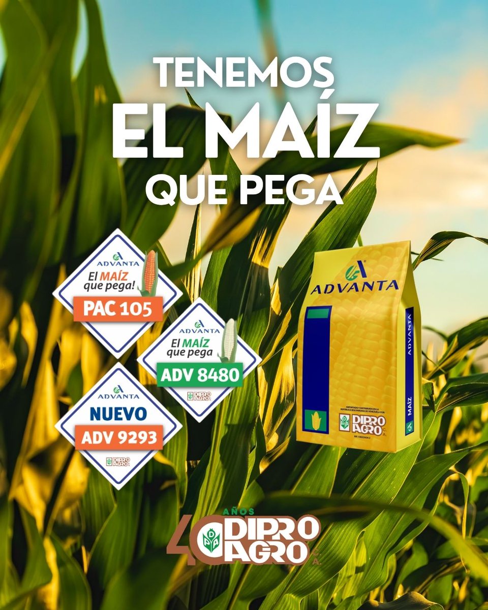 🌽𝘛𝘦𝘯𝘦𝘮𝘰𝘴 𝙀𝙡 𝙈𝘼𝙄𝙕 𝙦𝙪𝙚 𝙥𝙚𝙜𝙖!🌽
Conozca los maíces de Advanta, una empresa global de semillas, que desarrolla excelentes híbridos para el Trópico
🌽𝙋𝘼𝘾 105–El Maíz que pega!
🌽𝘼𝘿𝙑 9293
🌽𝘼𝘿𝙑 8480
Contáctenos para ser asesorado

#Maíz #Agro #Campo