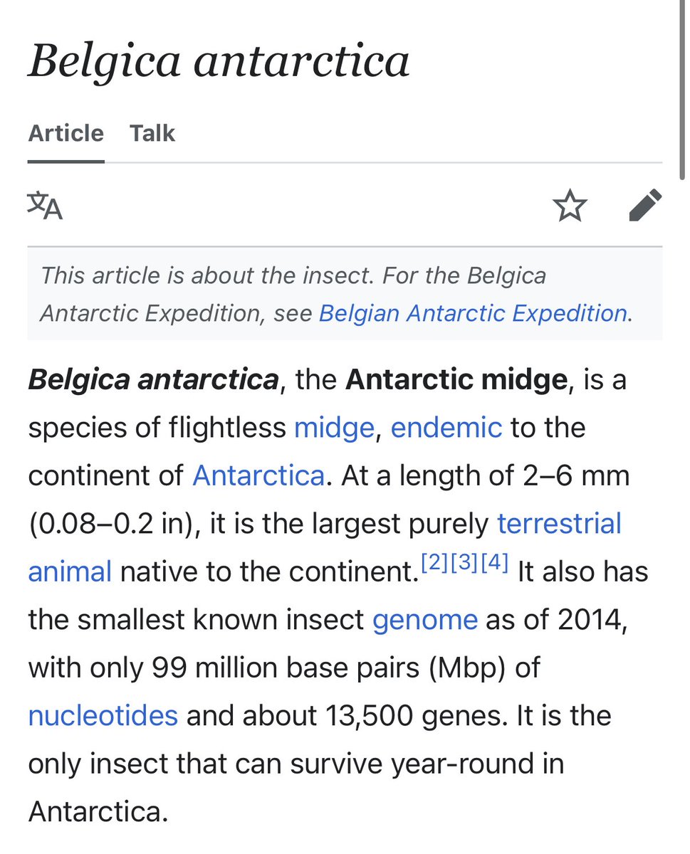 gabriel ( 'ᴥ' ) tweet media