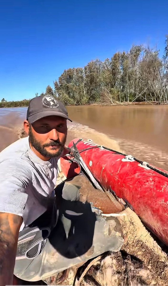 Alicia Novillo tweet media