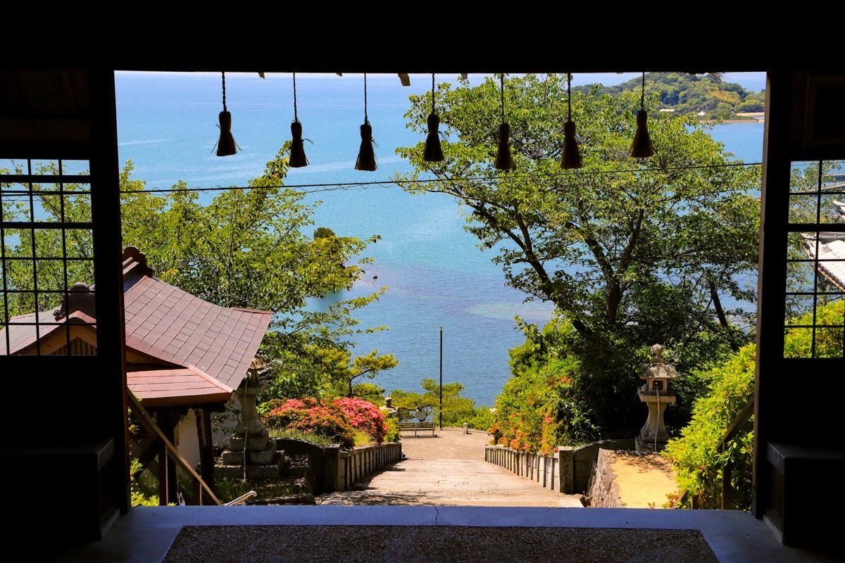 빼빼미 tweet media