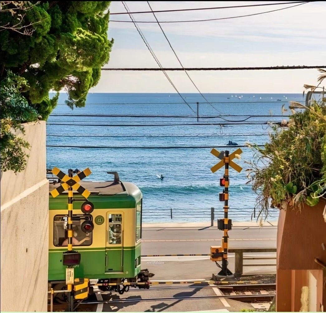 빼빼미 tweet media