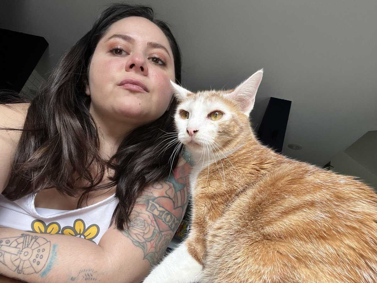 Sushi&Mango(&dog Mavis) tweet media