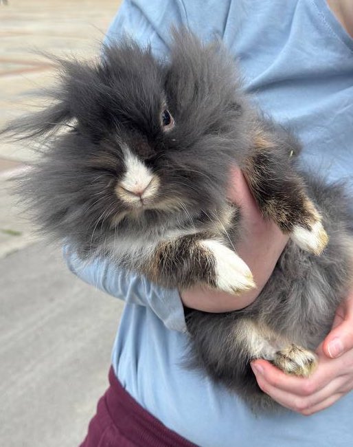 n.ever again tweet media