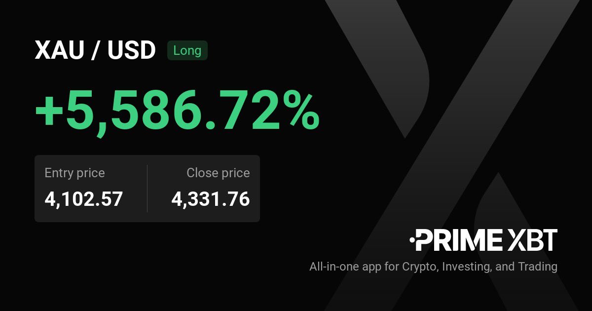 ⌜PONCE54958⌟ tweet media