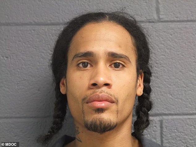 Breanna Morello tweet media