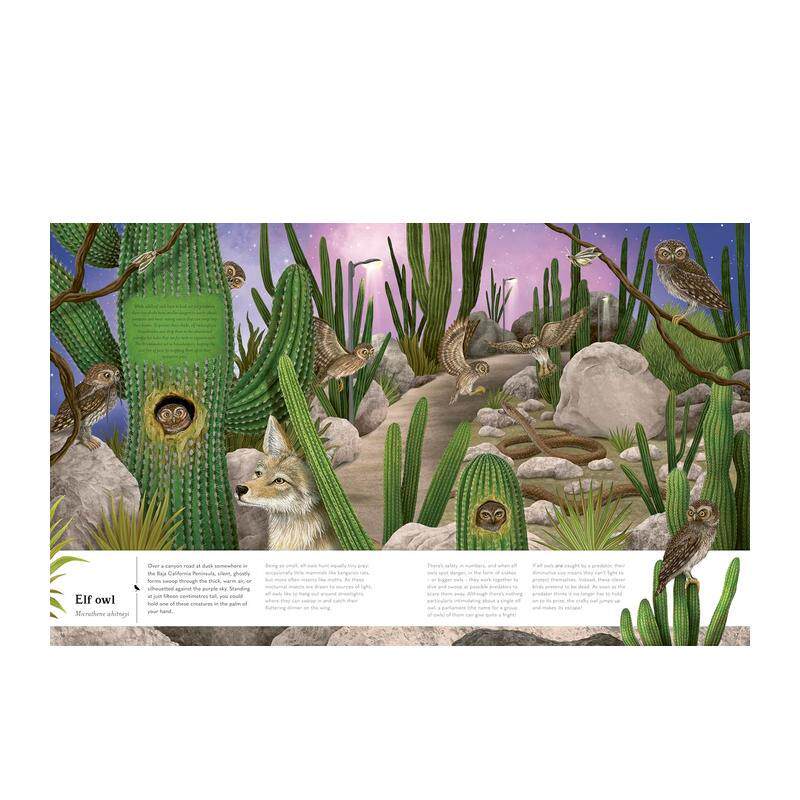 Jose Farias tweet media