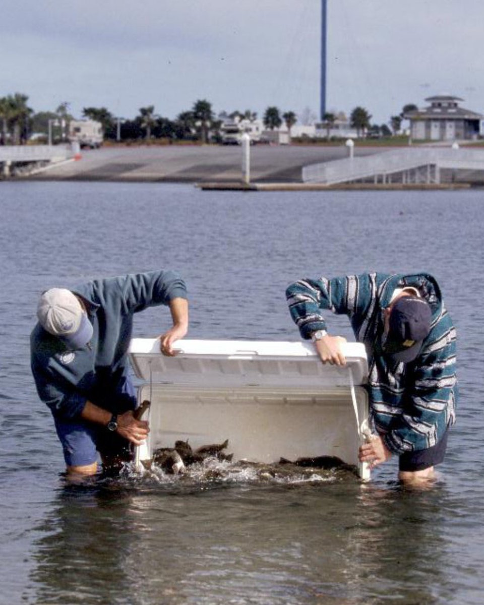 Hubbs-SeaWorld Research Institute tweet media