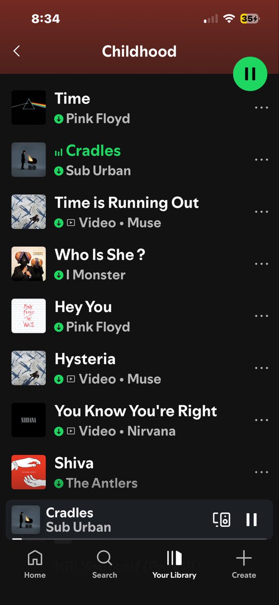 ˙✦ chip tweet media