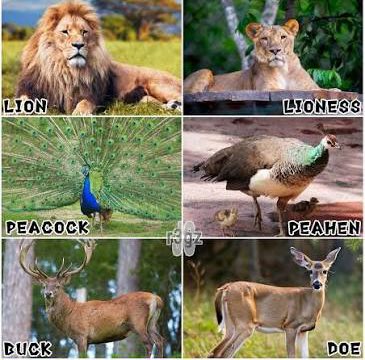 Bl💓ck Barbies tweet media