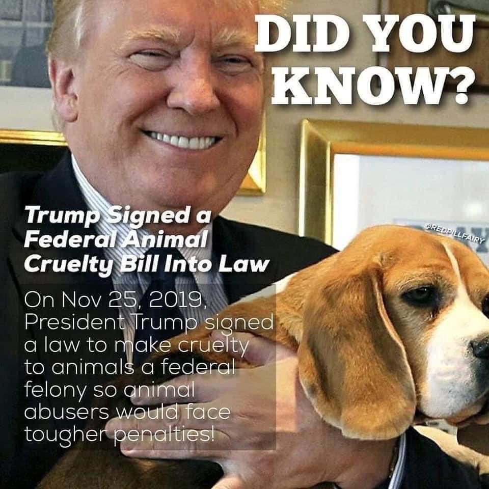 <a href="/FreeWildHorses/">American Wild Horse Conservation</a> God almighty <a href="/SecRollins/">Secretary Brooke Rollins</a> <a href="/realDonaldTrump/">Donald J. Trump</a> <a href="/POTUS/">President Donald J. Trump</a>  what is wrong with this government??  Why would a government that keeps SAYING they won’t test on animals KEEP testing on animals?  Why does a government that says it cares for wild horses KEEP terrorizing  &amp; killing them?