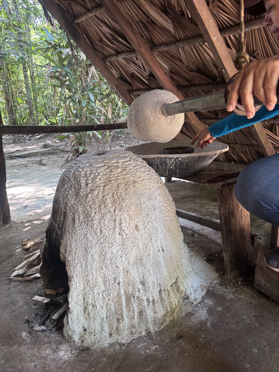 Cris 🇨🇴🇧🇷🏹🪇 tweet media