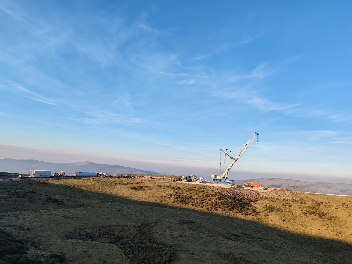 𝙸𝚐𝚞ñ𝚊. 𝚜𝚒𝚗. 𝚖𝚘𝚕𝚒𝚗𝚘𝚜 tweet media